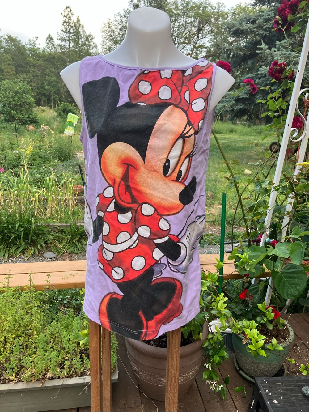 Disneyland resort long, Minnie mouse tank top hello Goodbye XL